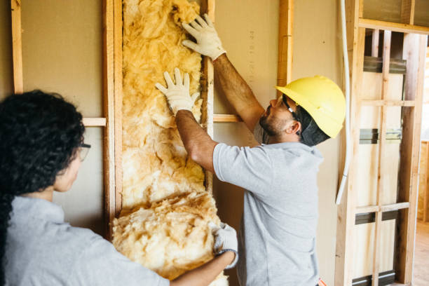 Best Insulation Contractor Near Me  in Anderson Creek, NC